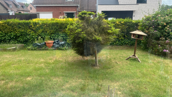 Heidestraat - 17 - - 8790