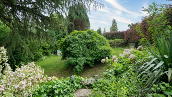Plein Sud - 44 - - 5540