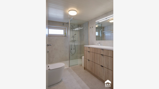 Zwanenstraat - 72 - - 3520