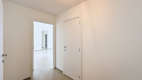 Rue Jules Pitot - 30 - 301 - 7380