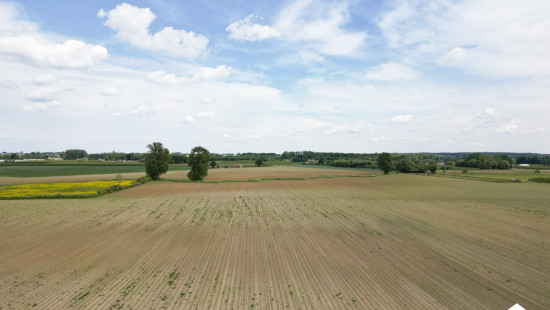 Hoevestraat - 57 - - 3850