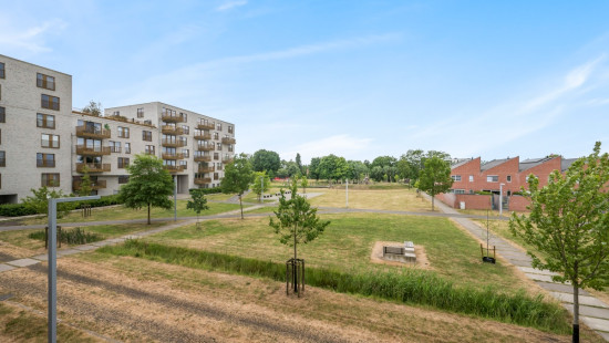 Hoedhaarstraat - 15 - 0105 - 9160