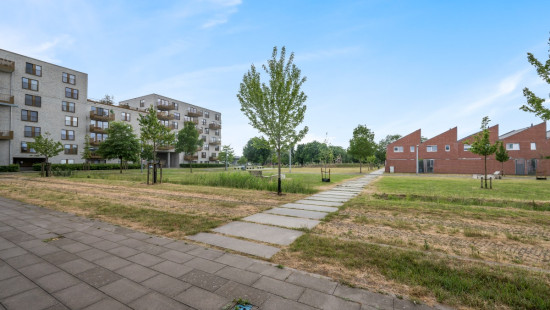 Hoedhaarstraat - 15 - 0105 - 9160