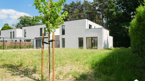 Zavelveld - 8 - lot 3 - lot 3 - 3600