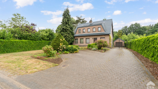 Zwanenstraat - 11 - - 3520