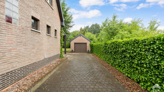 Zwanenstraat - 11 - - 3520