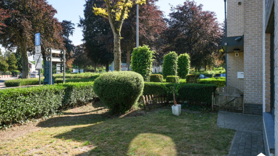 Hoofdstraat - 66 - 2 - 3941