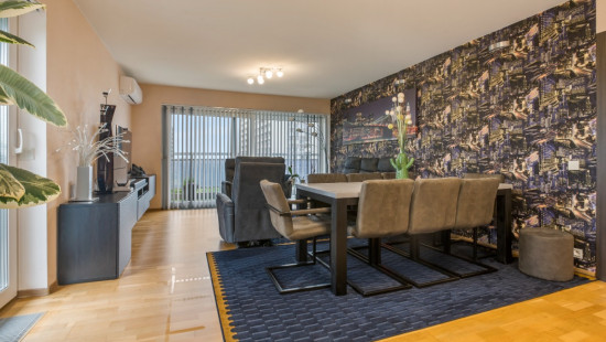 Koningin Fabiolapark - 851 - - 9100