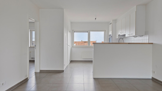 Vaartstraat - 38 - 0202 - 8630