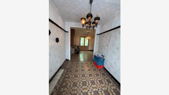Moeskroenstraat - 446 - - 8930