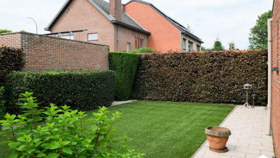 Paalsteenstraat - 41 - - 3500