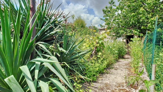 Rue Simon Dister - 51 - - 4430