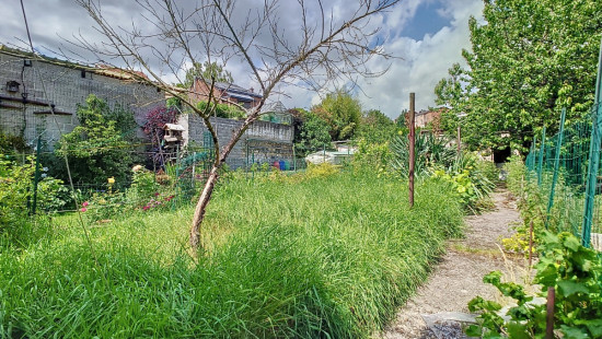 Rue Simon Dister - 51 - - 4430