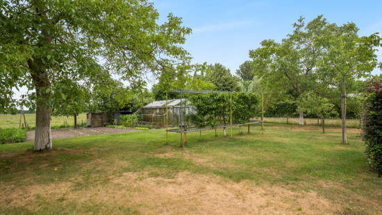 Lindenlaan - 232 - - 9120