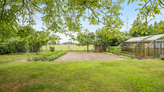Lindenlaan - 232 - - 9120