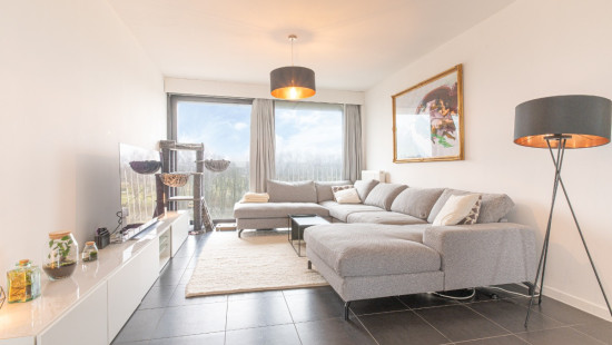 Blancefloerlaan - 323 - 302 - 2050