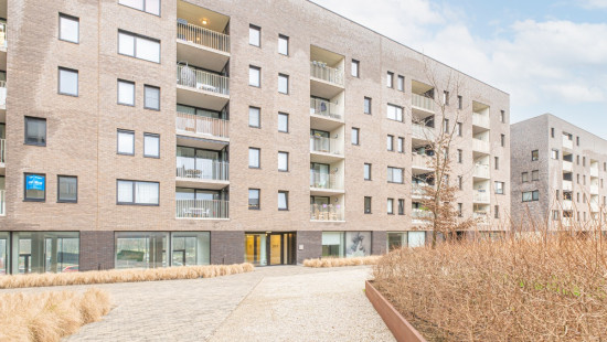 Blancefloerlaan - 323 - 302 - 2050