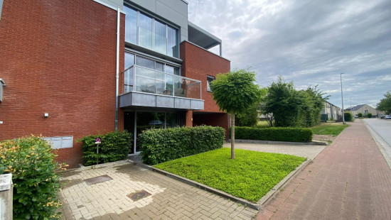 Dr.J.Grouwelsstraat - 1A - 2 - 3590