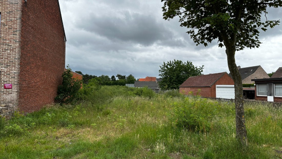 Dorperheide - 41 - - 3920