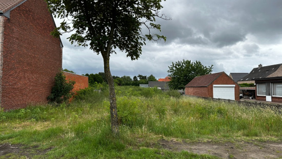 Dorperheide - 41 - - 3920