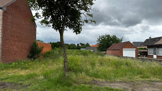 Dorperheide - 41 - - 3920