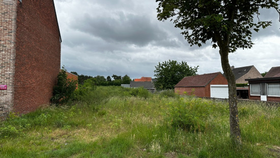 Dorperheide - 41 - - 3920