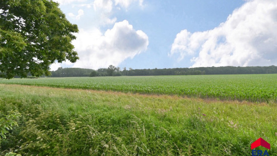 Zoutweg - 102 - - 9950