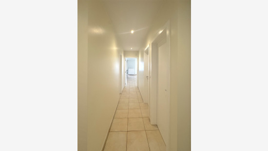 Albert Saverysstraat - 2 - 14 - 8790