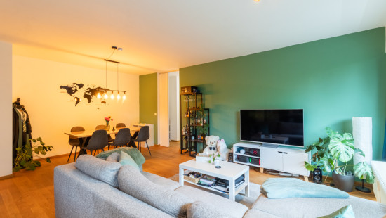 Hovestraat - 161 - 21 - 2650