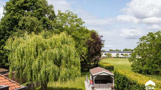 Sint-Livinusstraat - 29 - - 8906