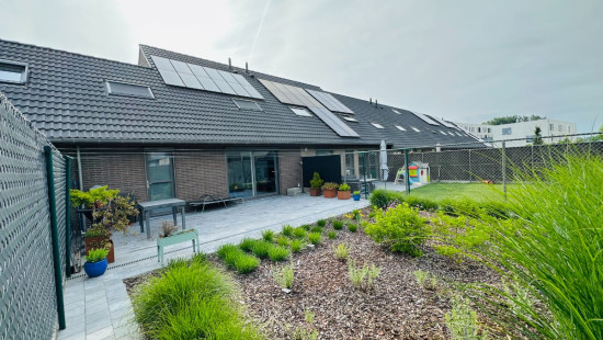 Ganzenstraat - 16 - - 8800