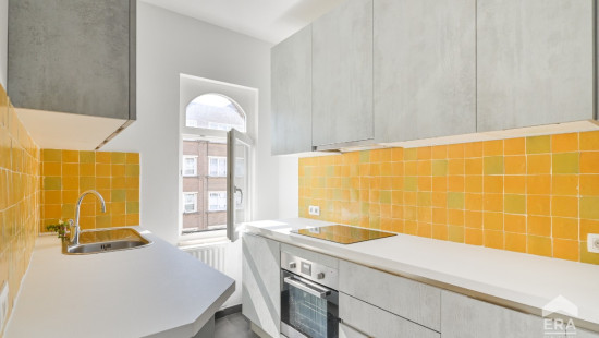 Rue Camille Lemonnier - 104 - - 1050