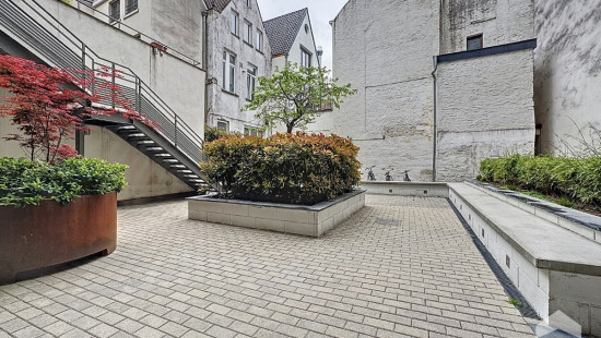 Rue de l&#039;Ecuyer - 47 - - 1000