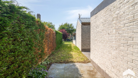 Vossensteert - 188 - - 8310