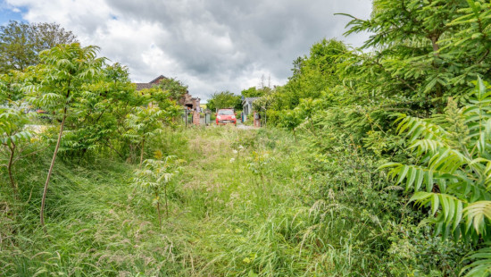 Allée des chevreuils - 325 - - 5542