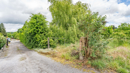 Allée des chevreuils - 325 - - 5542