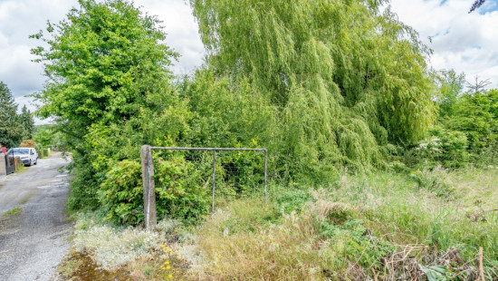 Allée des chevreuils - 325 - - 5542