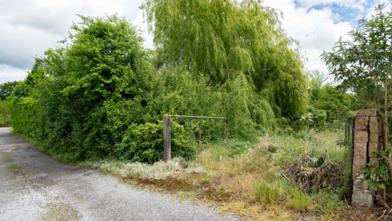 Allée des chevreuils - 325 - - 5542