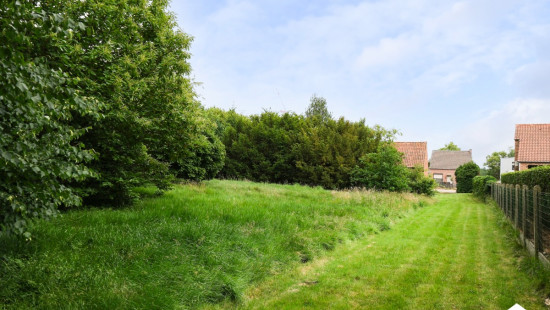 Rekhovenstraat - 51 - - 3560