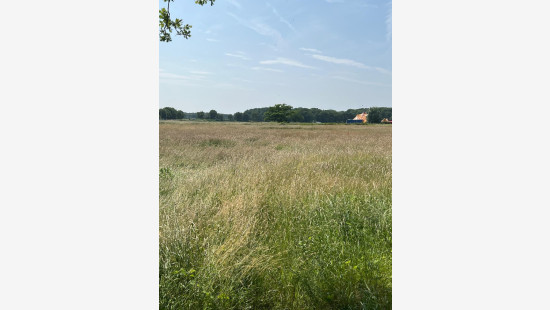 Vroentestraat - 87 - - 3290
