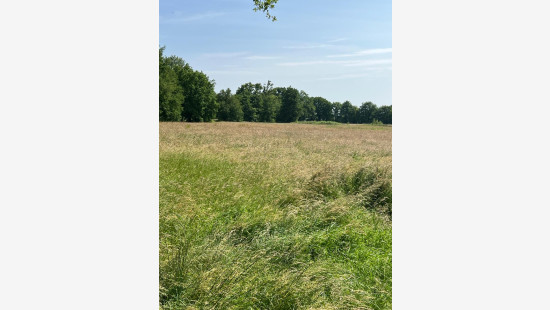 Vroentestraat - 87 - - 3290