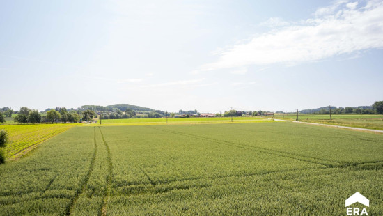 Lokerseweg - 39 - - 8970