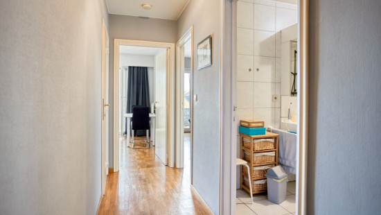 Hasseltsestraat - 58 - B2 - 3290