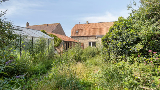 Beverenstraat - 49 - - 8691