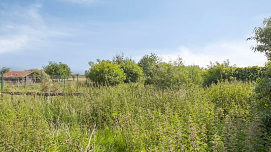 Beverenstraat - 49 - - 8691
