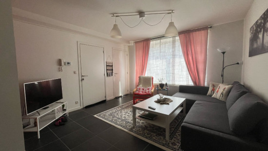 Worteldorp - 49 - 3 - 2323