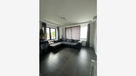 Worteldorp - 49 - 4 - 2323