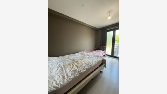 Worteldorp - 49 - 3 - 2323
