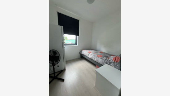 Worteldorp - 49 - 4 - 2323