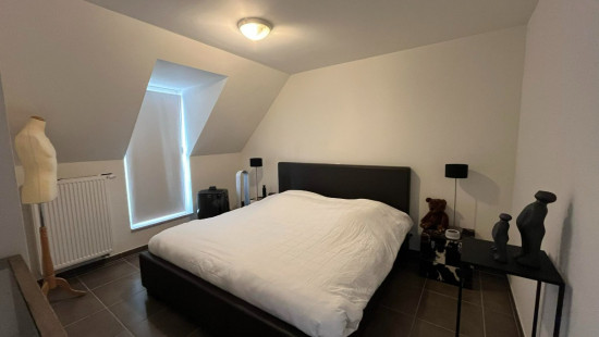 Peereboomstraat - 7 - 0103 - 8880
